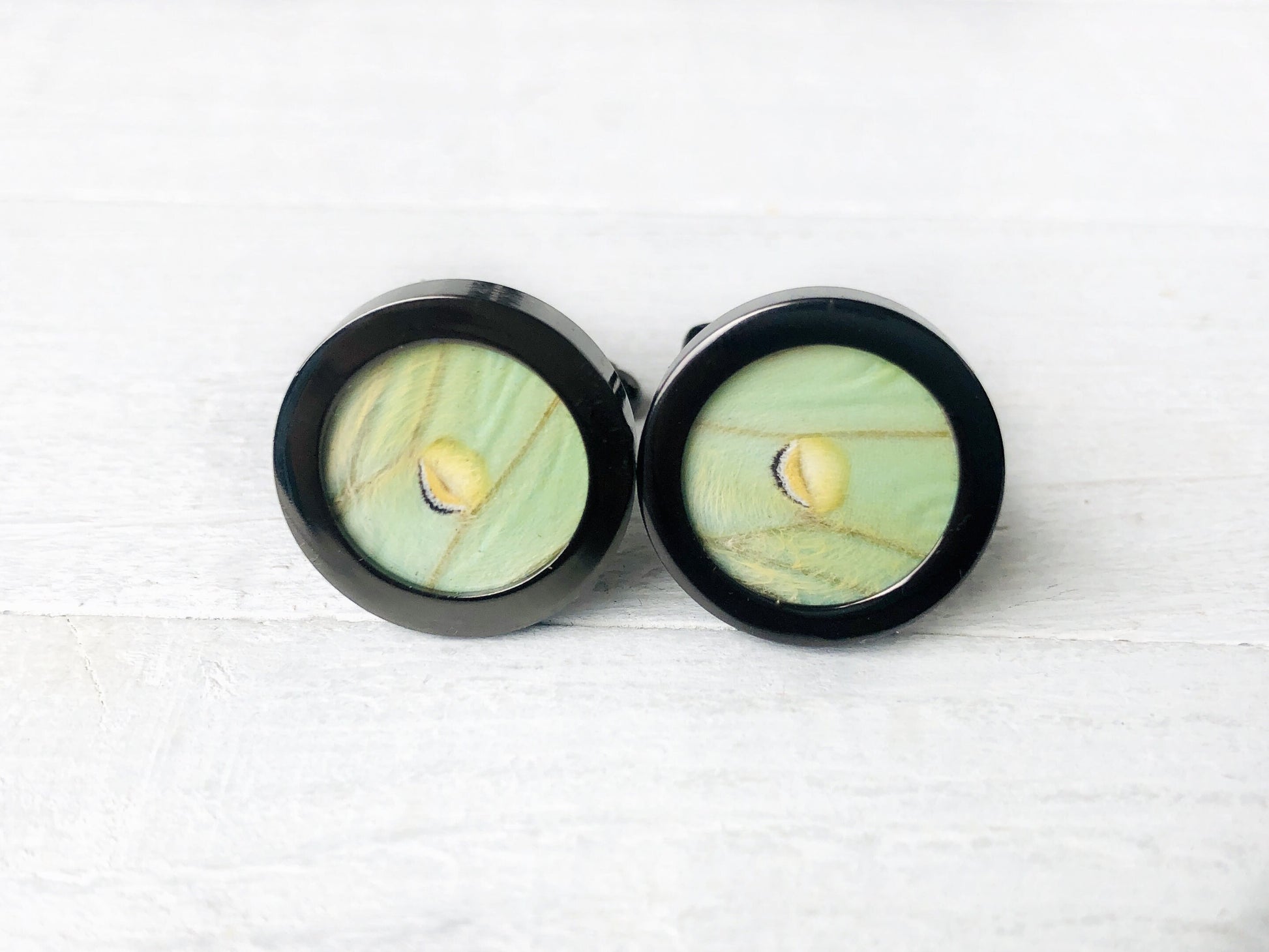 Real Luna moth cufflinks for men Weird cufflinks for wedding Personalized cufflinks for groomsmen gift ideas Wedding cuff links for brother