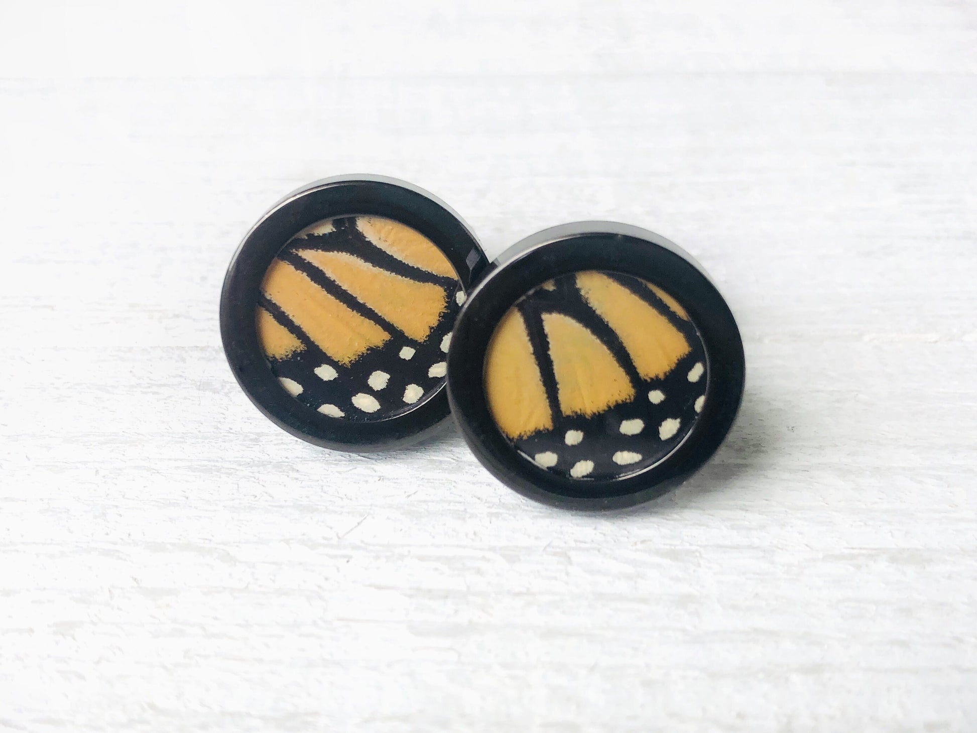 Real Butterfly cufflinks for groomsmen set of 1 2 3 4 5 6 7 8 Framed butterfly wing cufflinks for men Personalized cufflinks for wedding