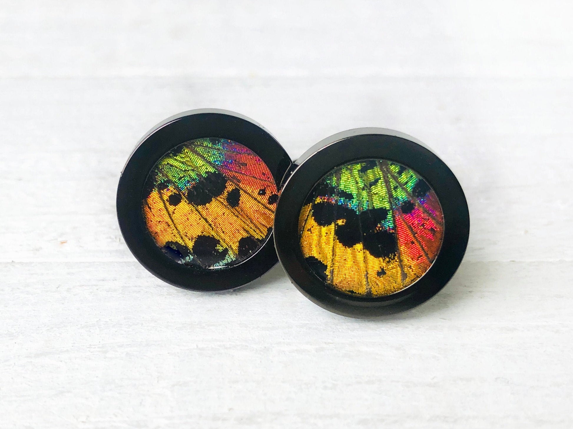 Real Butterfly cuff links Rainbow cufflinks Wedding gift for men who have everything Cool cuff links Personalized cuff links for Groomsmen