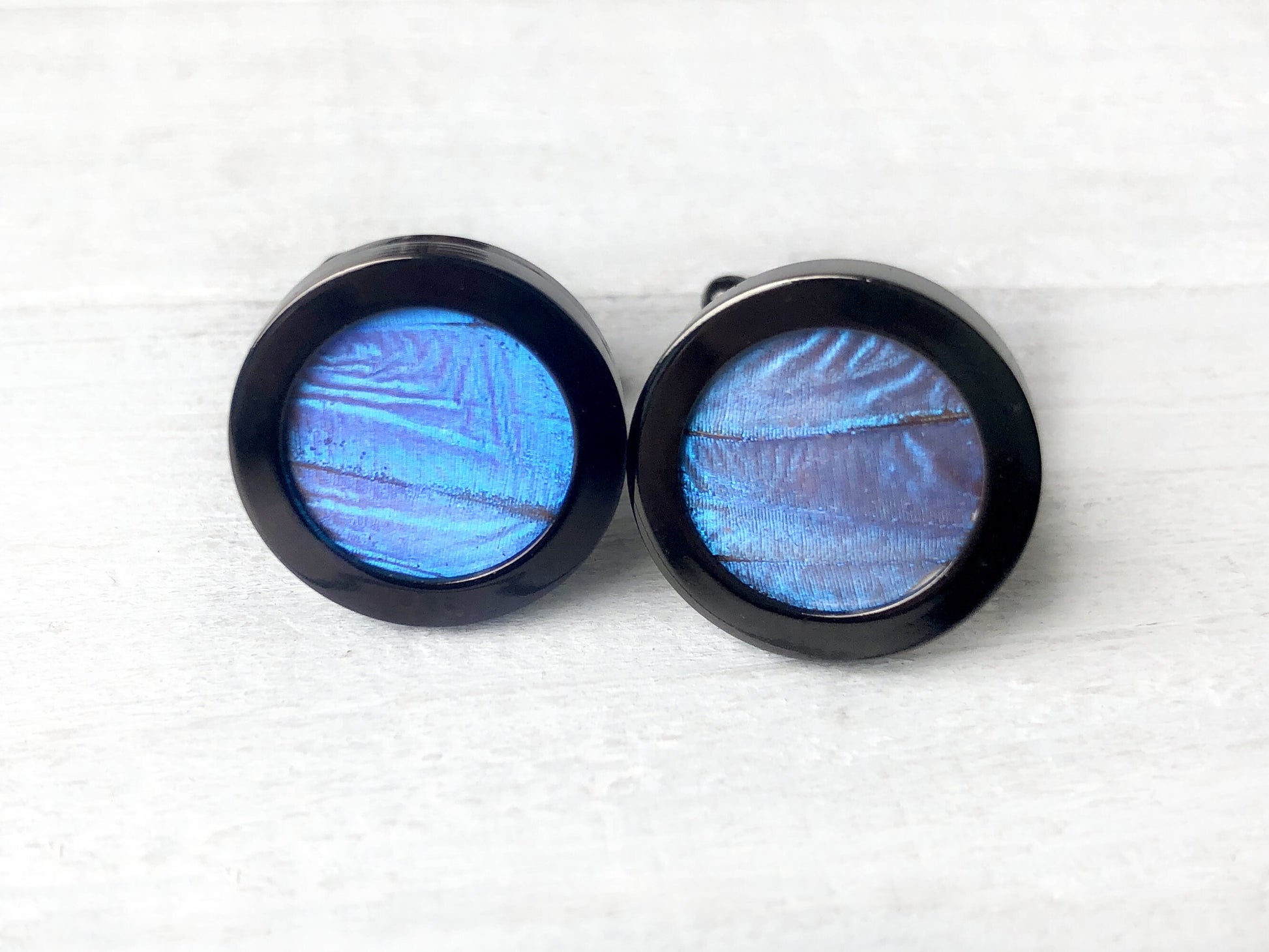 Real Insect cufflinks for men Blue Morpho butterfly wing cufflinks for groom Bespoke cufflinks for wedding Novelty cufflinks for groomsmen
