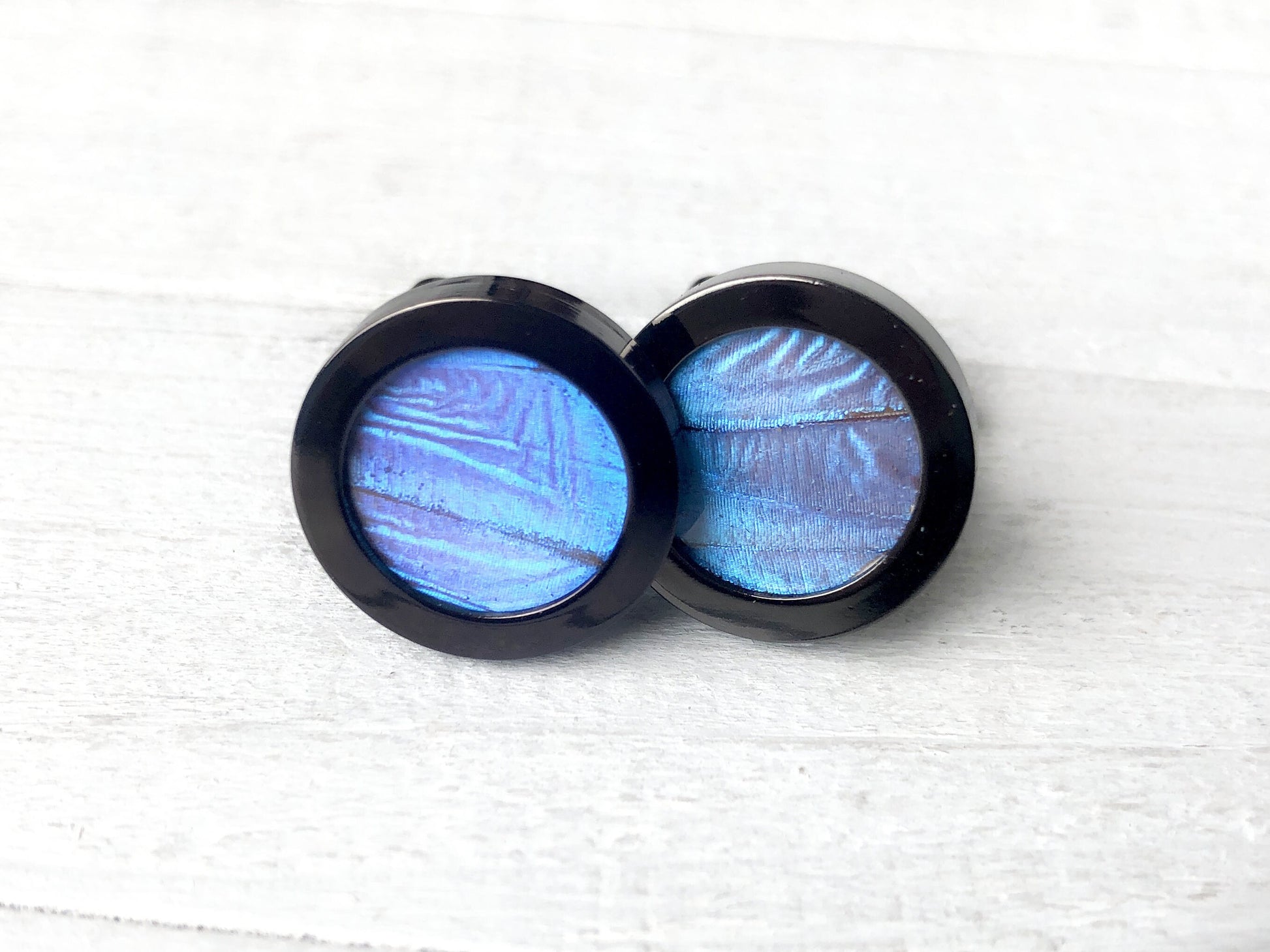 Real Insect cufflinks for men Blue Morpho butterfly wing cufflinks for groom Bespoke cufflinks for wedding Novelty cufflinks for groomsmen