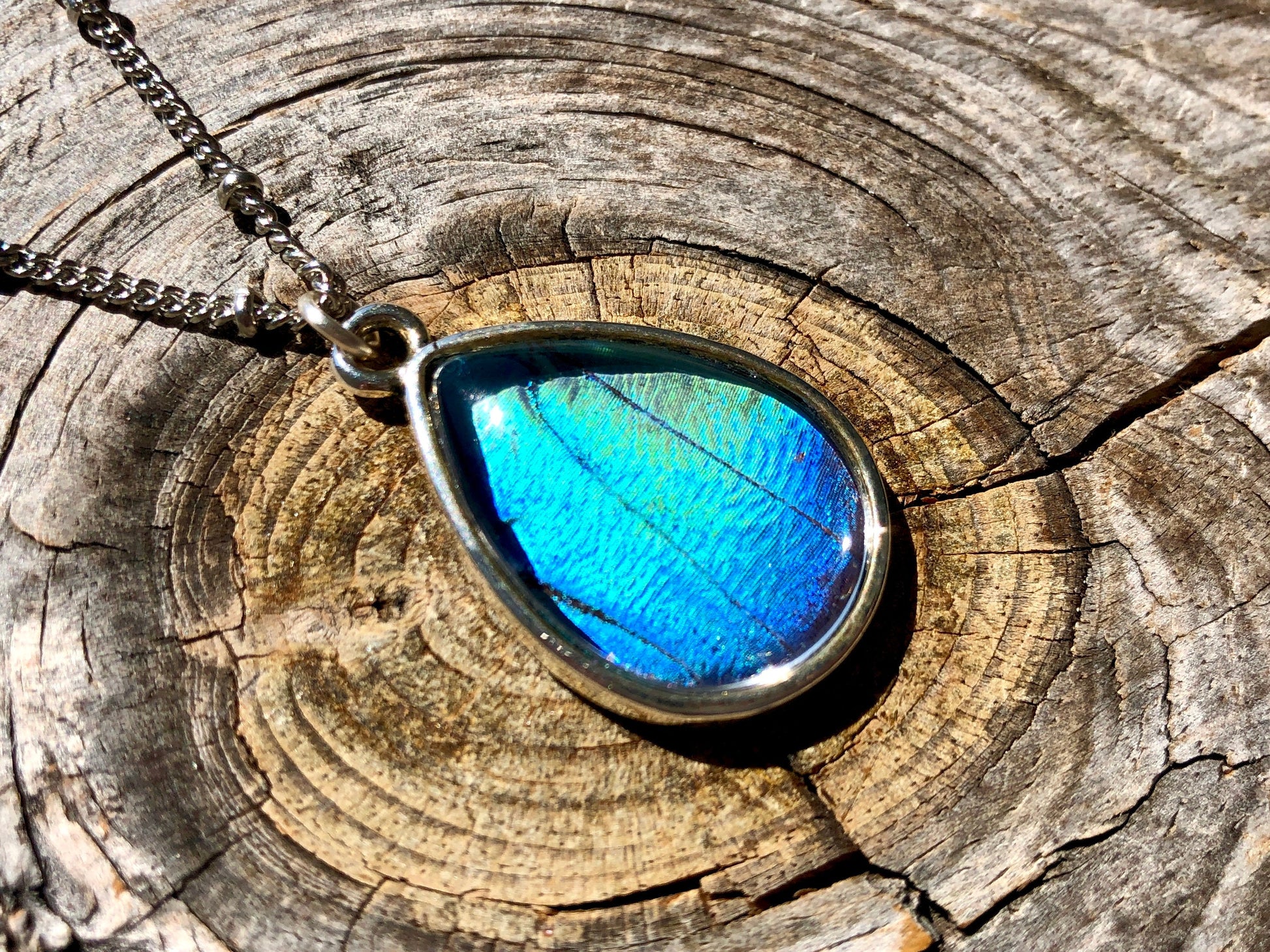 Real Blue Morpho Butterfly necklace silver Handmade christmas gifts for mom Something blue for bride from mom Pressed butterfly wing jewelry