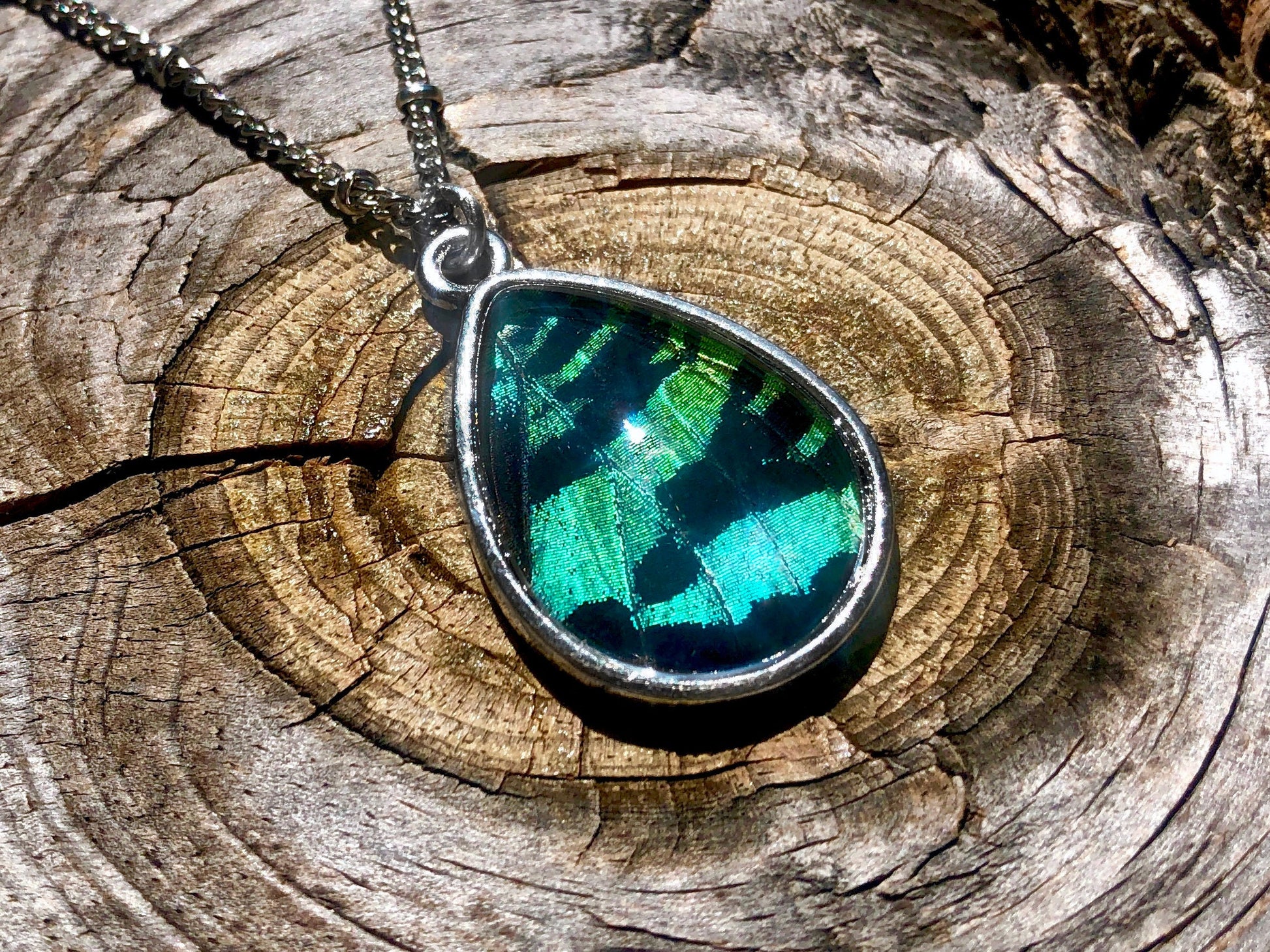 Real moth wing necklace Sunset moth necklace Preserved moth taxidermy jewelry Pressed butterfly necklace Insect taxidermy moth
