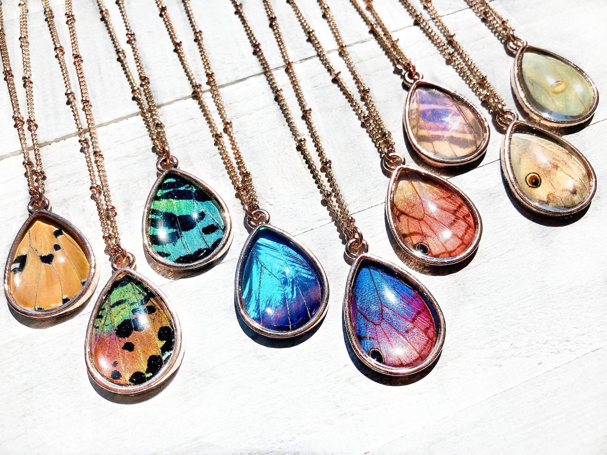 Real butterfly wing necklace butterfly necklace Best friend necklace necklace Butterfly wing jewelry jewelry