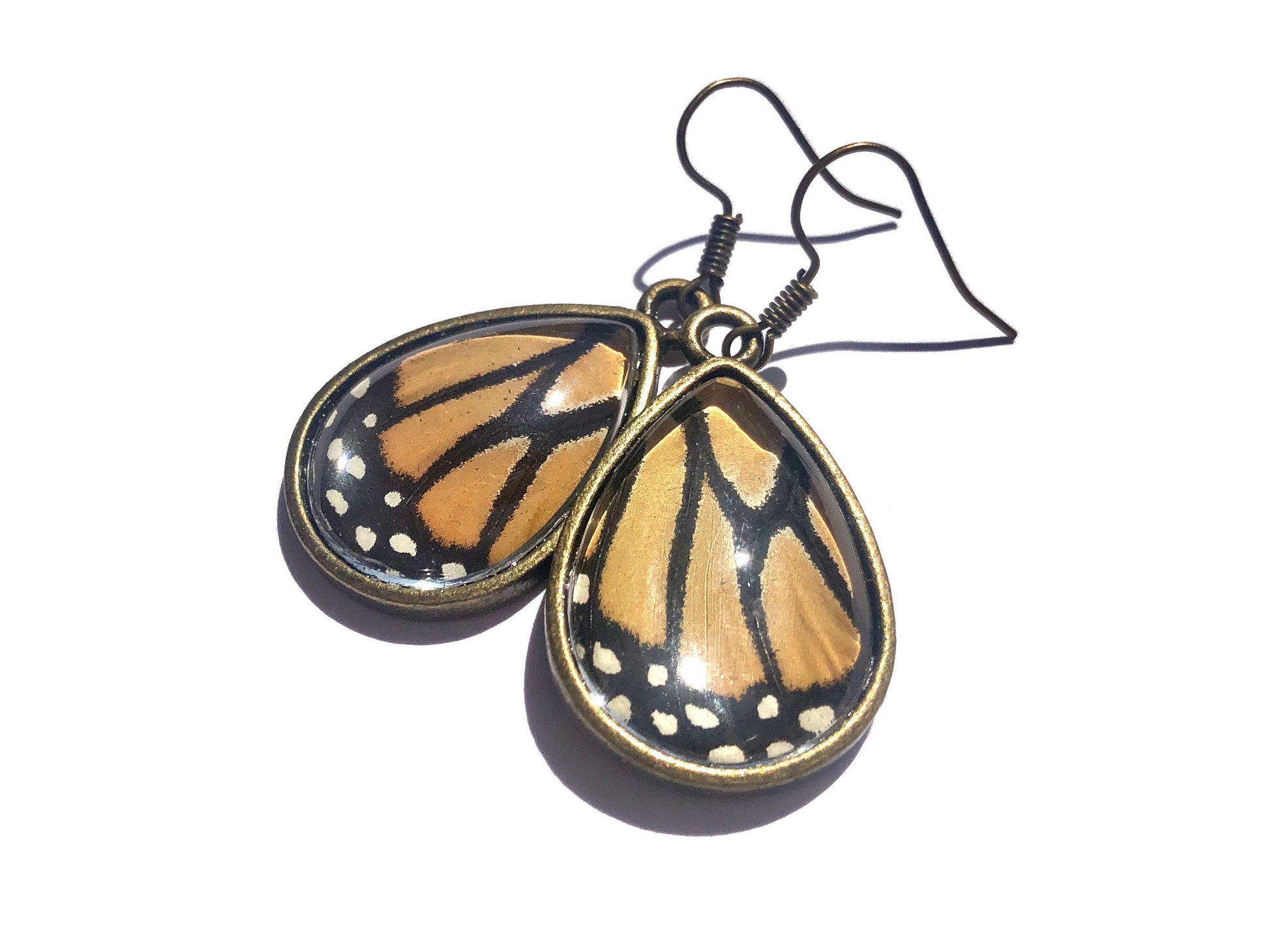 Real butterfly wing earrings Real moth earrings Pressed butterfly earrings Sterling silver butterfly earrings Pressed flower earrings