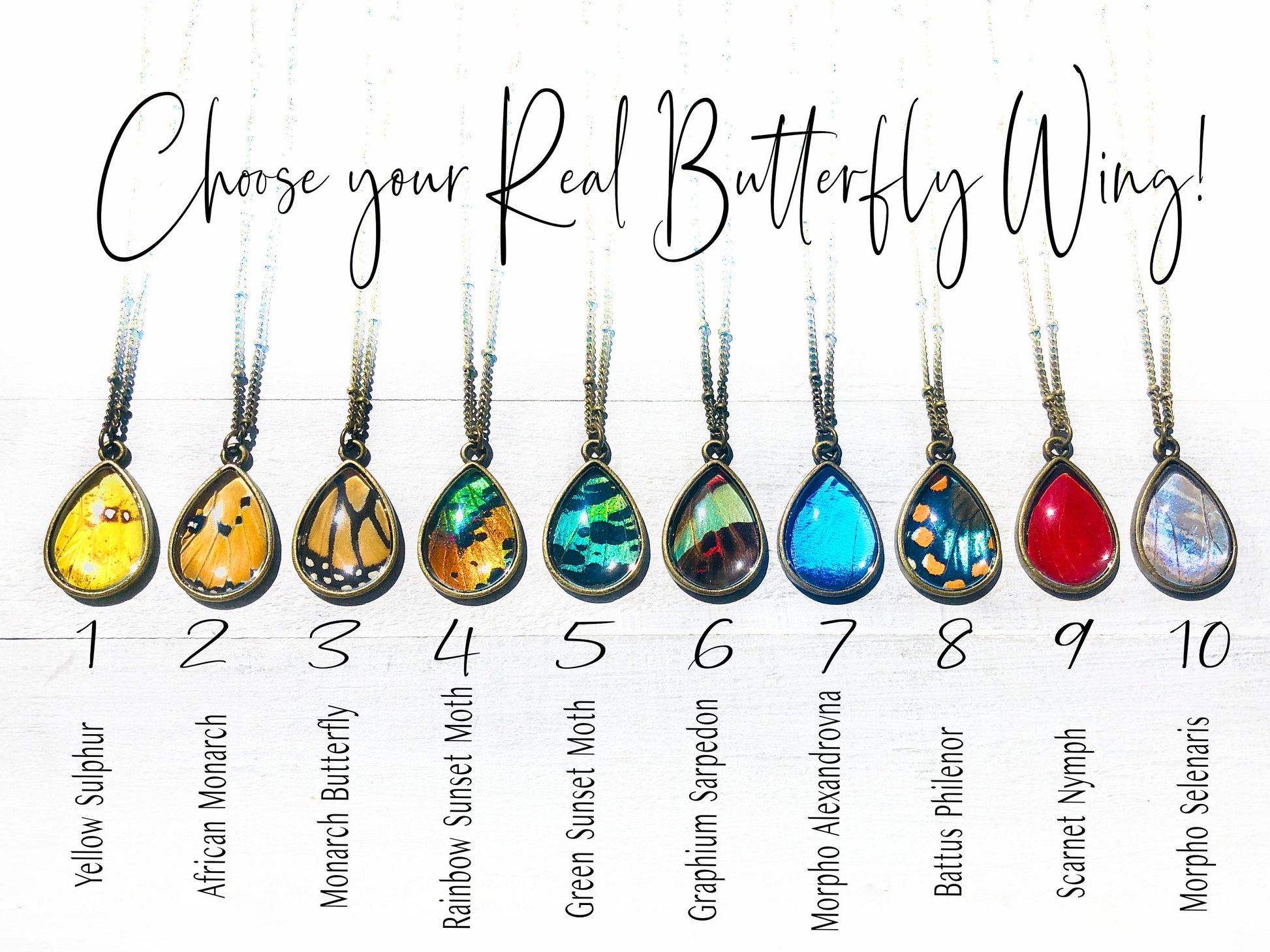 Real butterfly wing necklace Glass terrarium necklace Glass resin necklace Pressed butterfly necklace Pressed flower jewelry