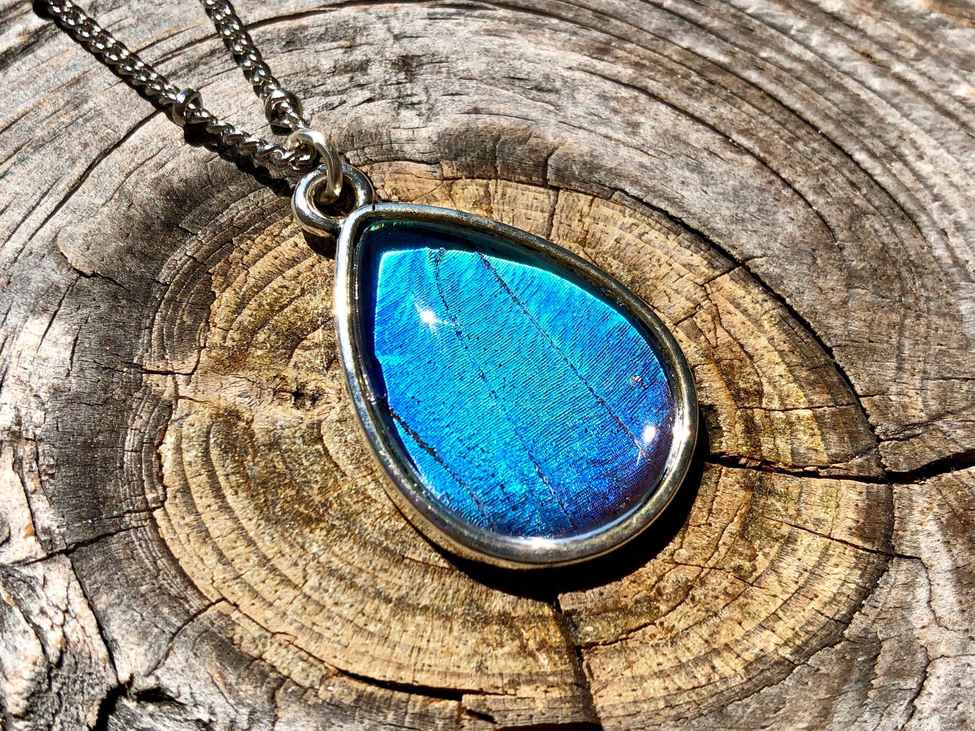 Real Blue Morpho Butterfly necklace silver Handmade christmas gifts for mom Something blue for bride from mom Pressed butterfly wing jewelry