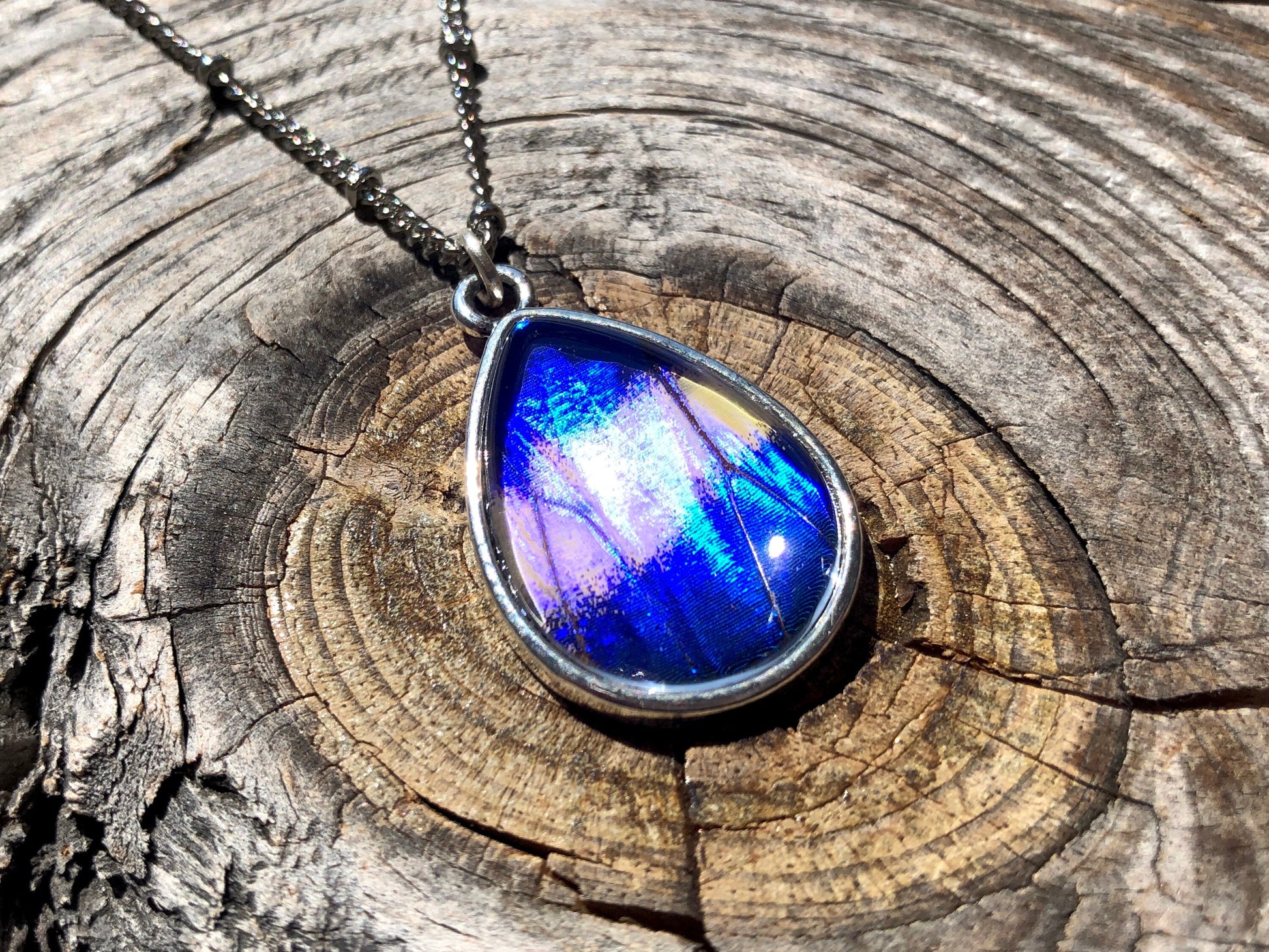 Real blue morpho butterfly wing necklace Blue butterfly necklace for women Silver butterfly charm necklace Real Butterflies framed