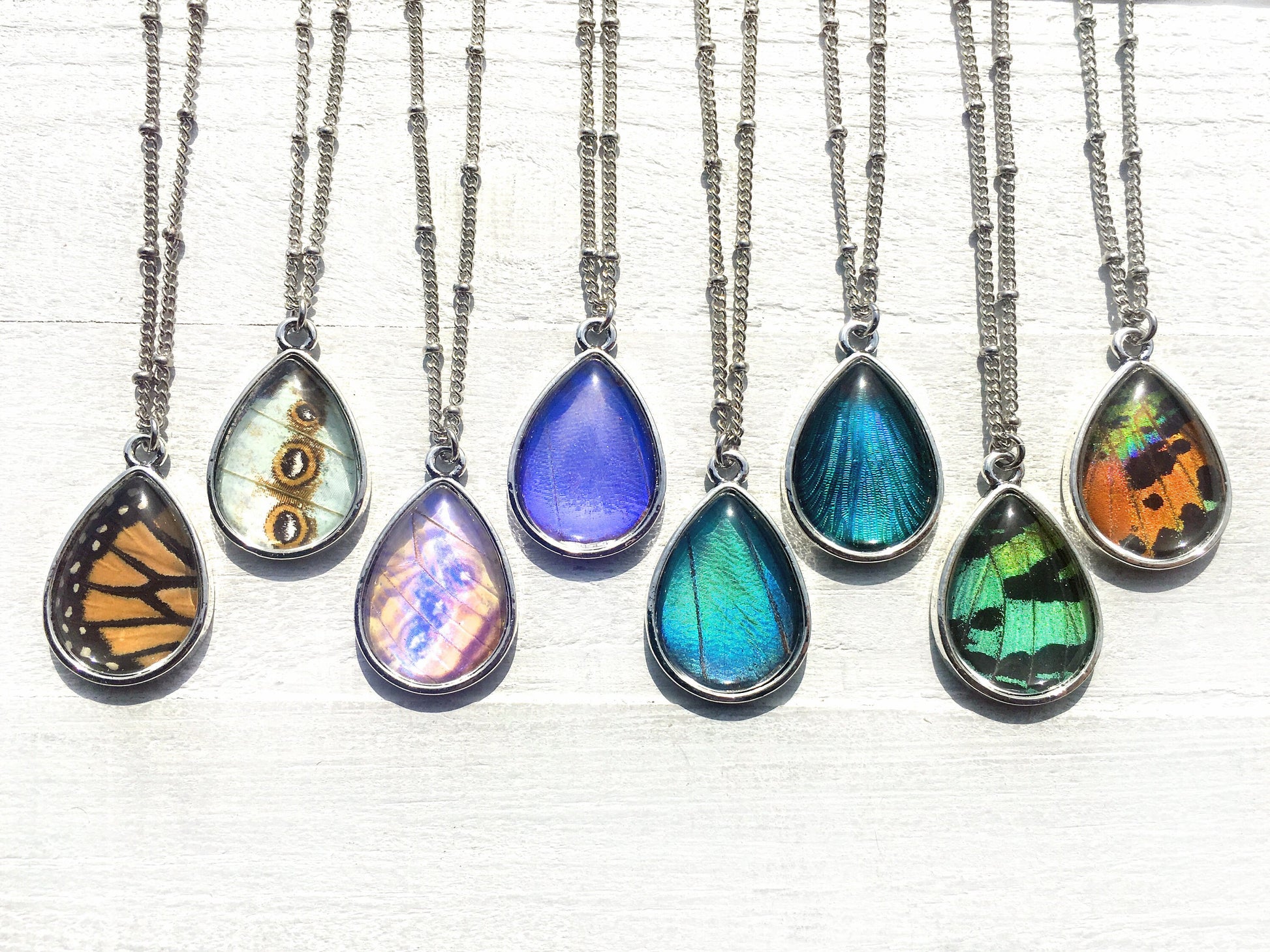 Real moth wing necklace Sunset moth necklace Preserved moth taxidermy jewelry Pressed butterfly necklace Insect taxidermy moth