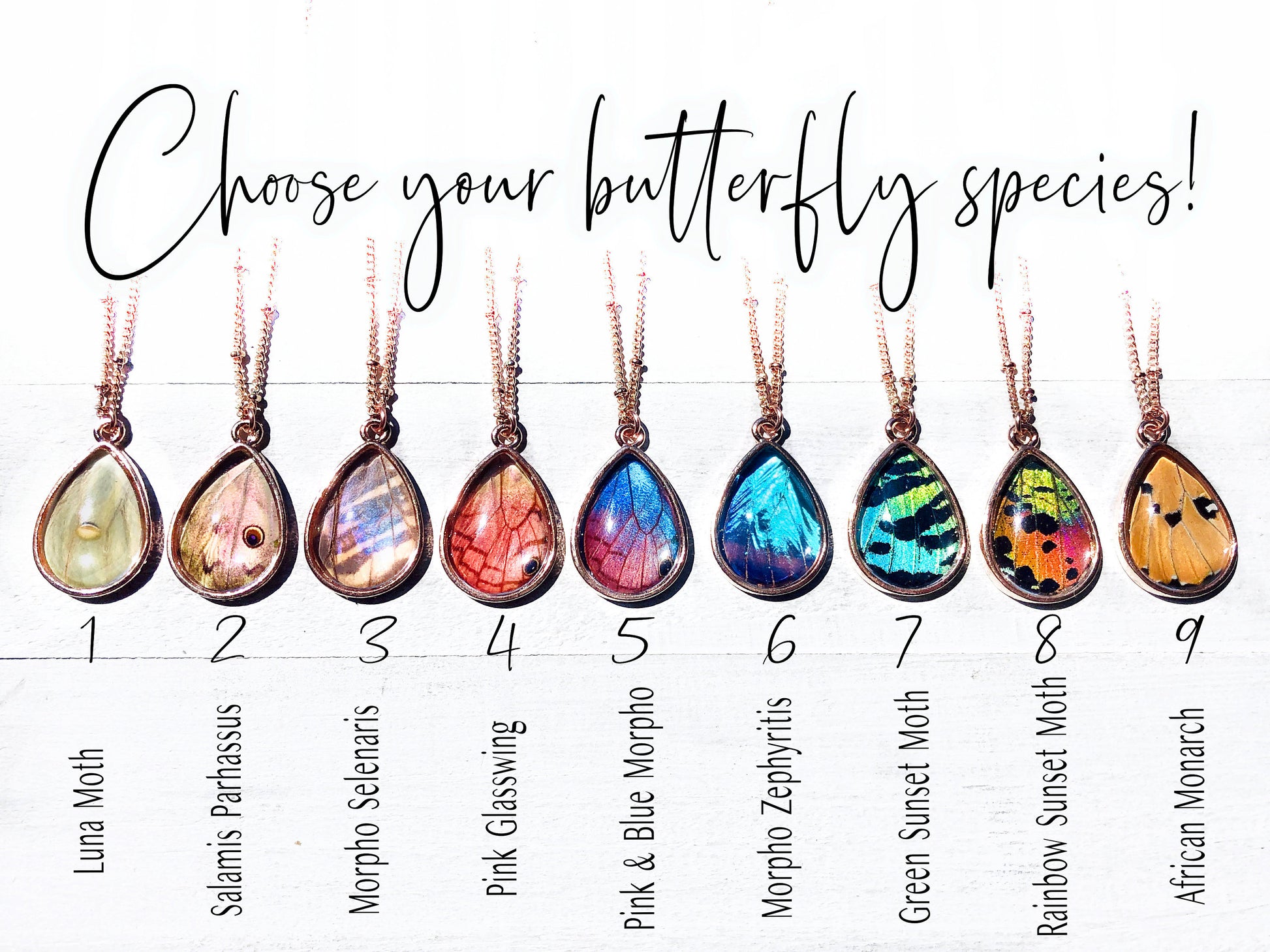 Real butterfly wing necklace Pressed butterfly necklace Best friend necklace Pressed flower necklace Butterfly wing jewelry Pressed jewelry