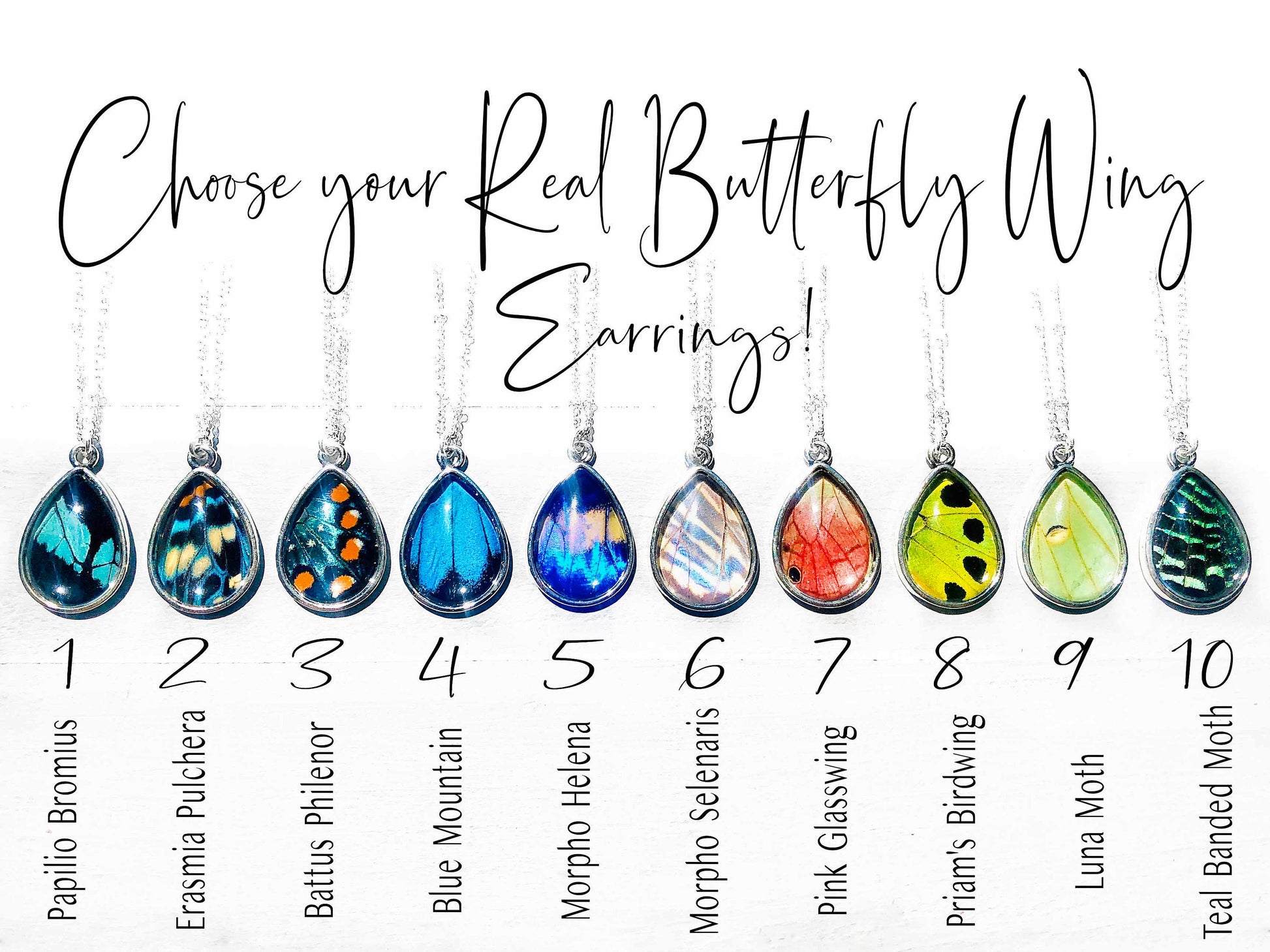 Real butterfly earrings for women Real butterfly wing earrings Blue butterfly earrings dangle Real butterfly jewelry Real insect earrings