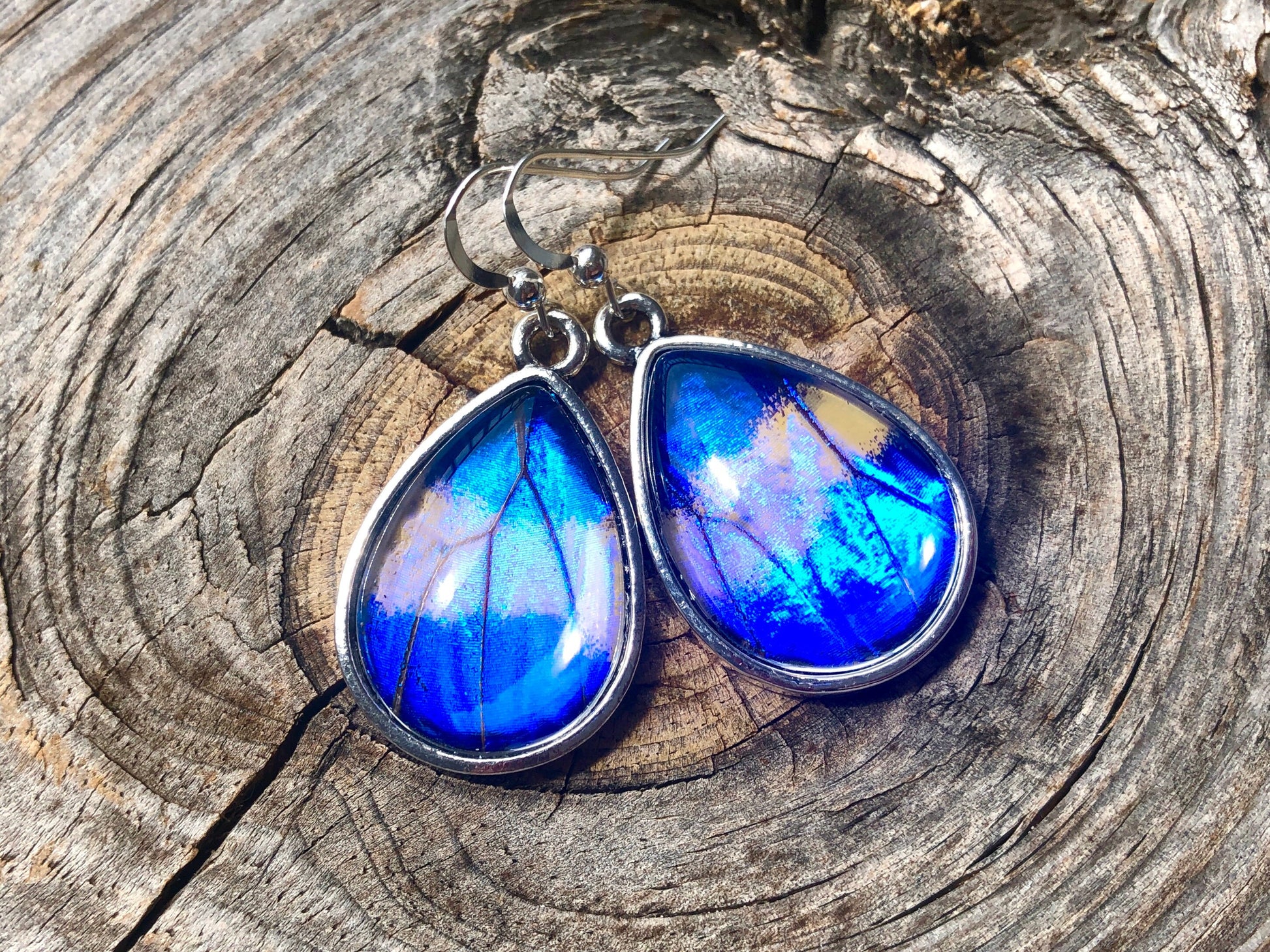 Real butterfly wing earrings Real butterfly earrings for women Blue morpho butterfly earrings Real butterfly wing jewelry Bug earrings