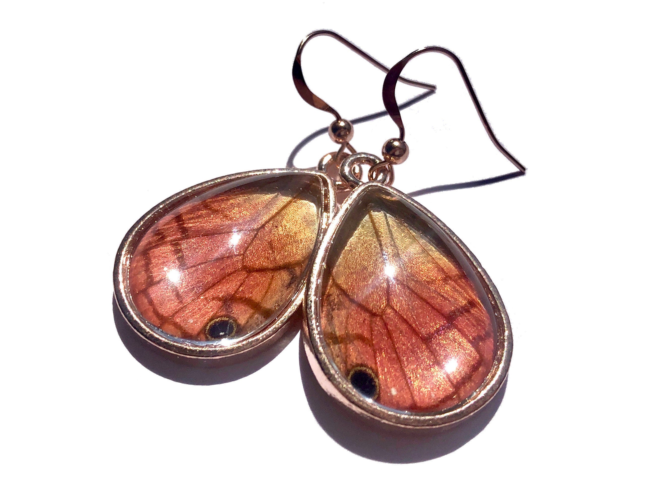 Real butterfly wing earrings for women Real bug earrings Real insect earrings Pink butterfly earrings rose gold Real butterfly wing jewelry