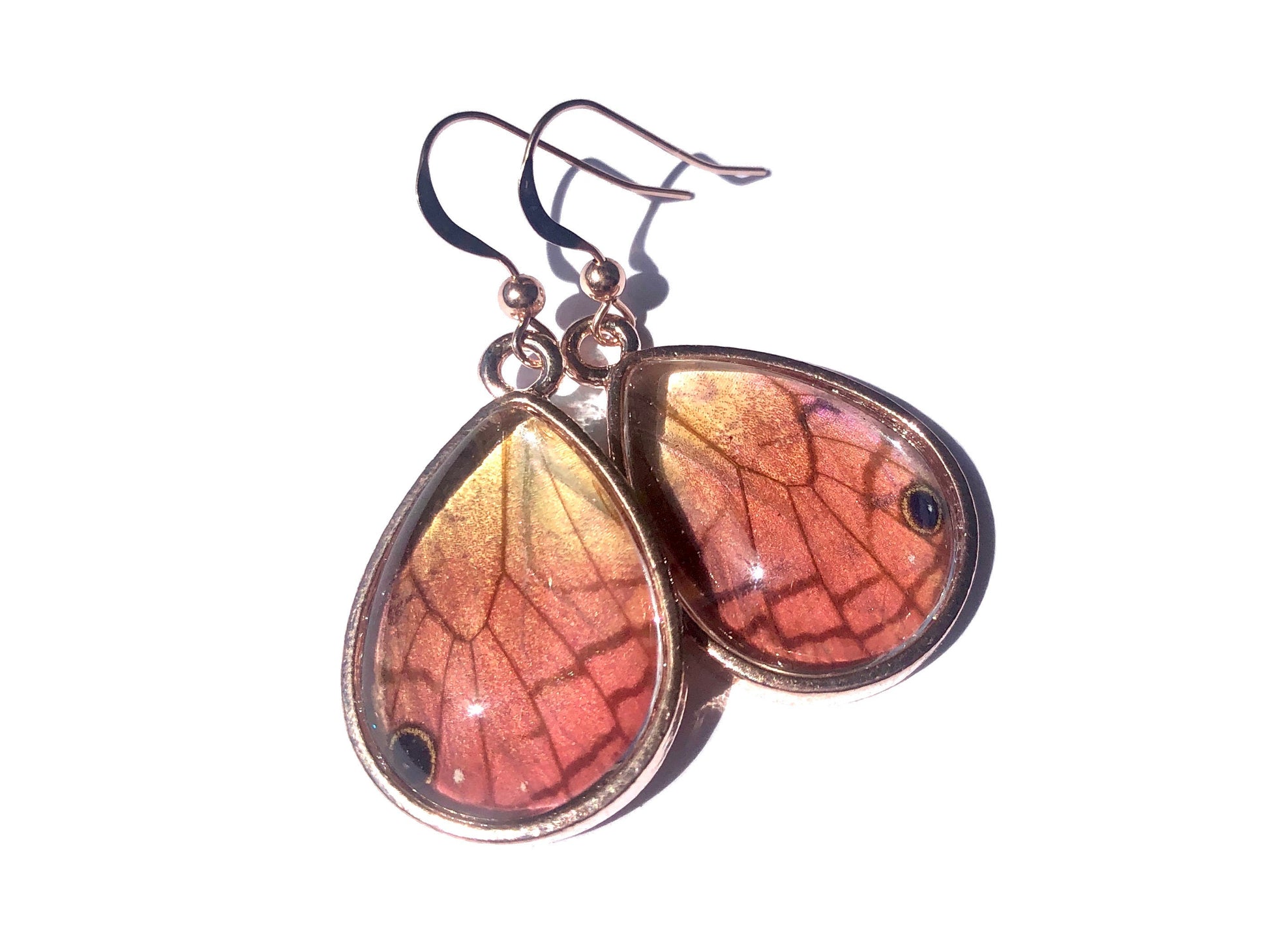 Real luna moth earrings Taxidermy luna moth jewelry Real butterfly wing earrings Taxidermy bug earrings Real moth wing earrings