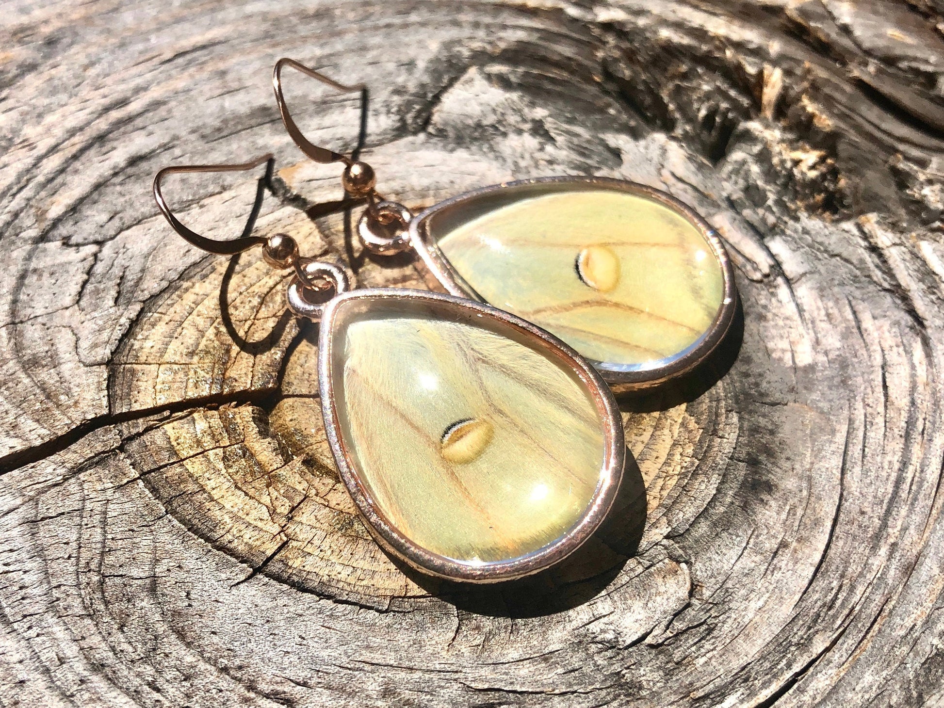 Real luna moth earrings Taxidermy luna moth jewelry Real butterfly wing earrings Taxidermy bug earrings Real moth wing earrings