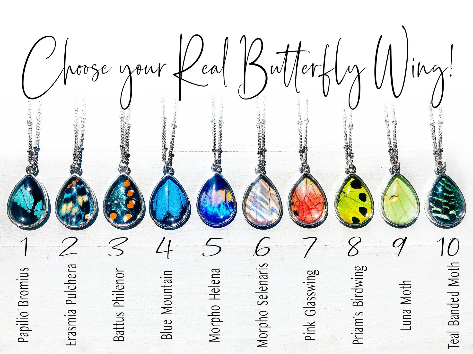 Real butterfly wing necklace Pressed flower necklace For women Pressed butterfly necklace sterling silver option Real butterfly jewelry