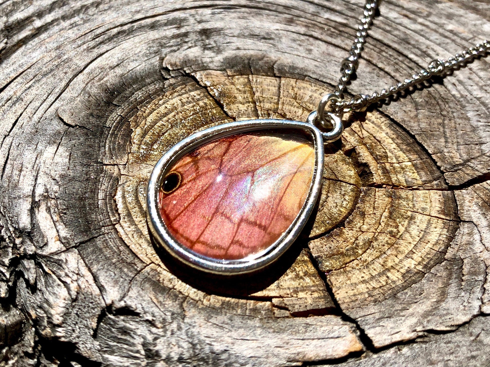 Real butterfly wing necklace Pressed flower necklace For women Pressed butterfly necklace sterling silver option Real butterfly jewelry