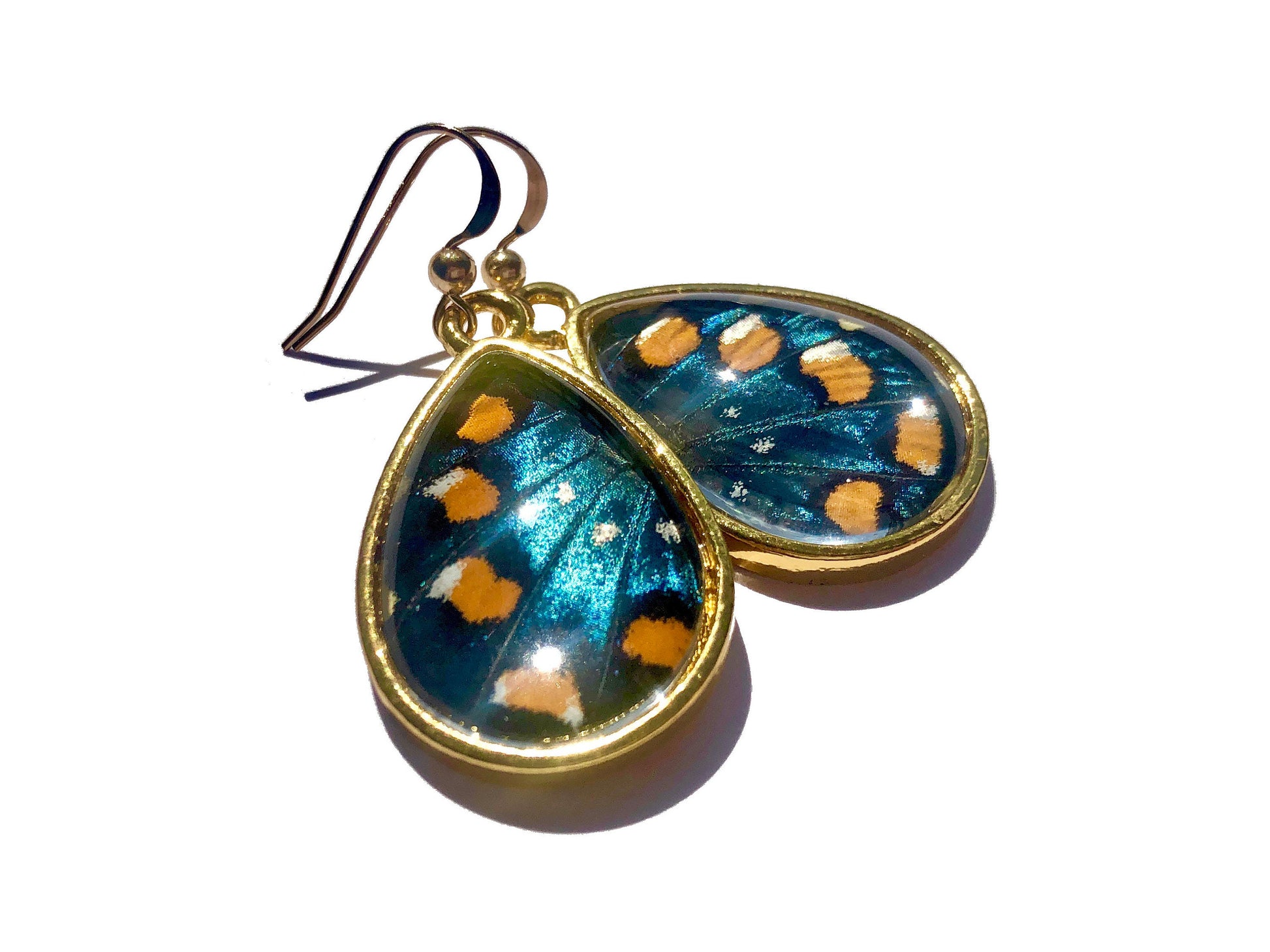 Real butterfly wing earrings Real butterfly earrings for women Blue morpho butterfly earrings Real butterfly wing jewelry Bug earrings