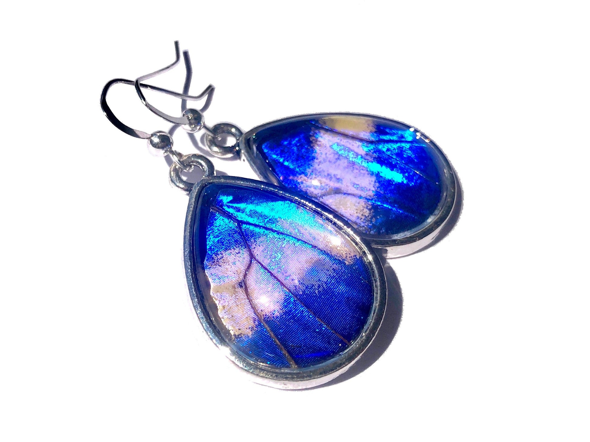 Real luna moth earrings Taxidermy luna moth jewelry Real butterfly wing earrings Taxidermy bug earrings Real moth wing earrings