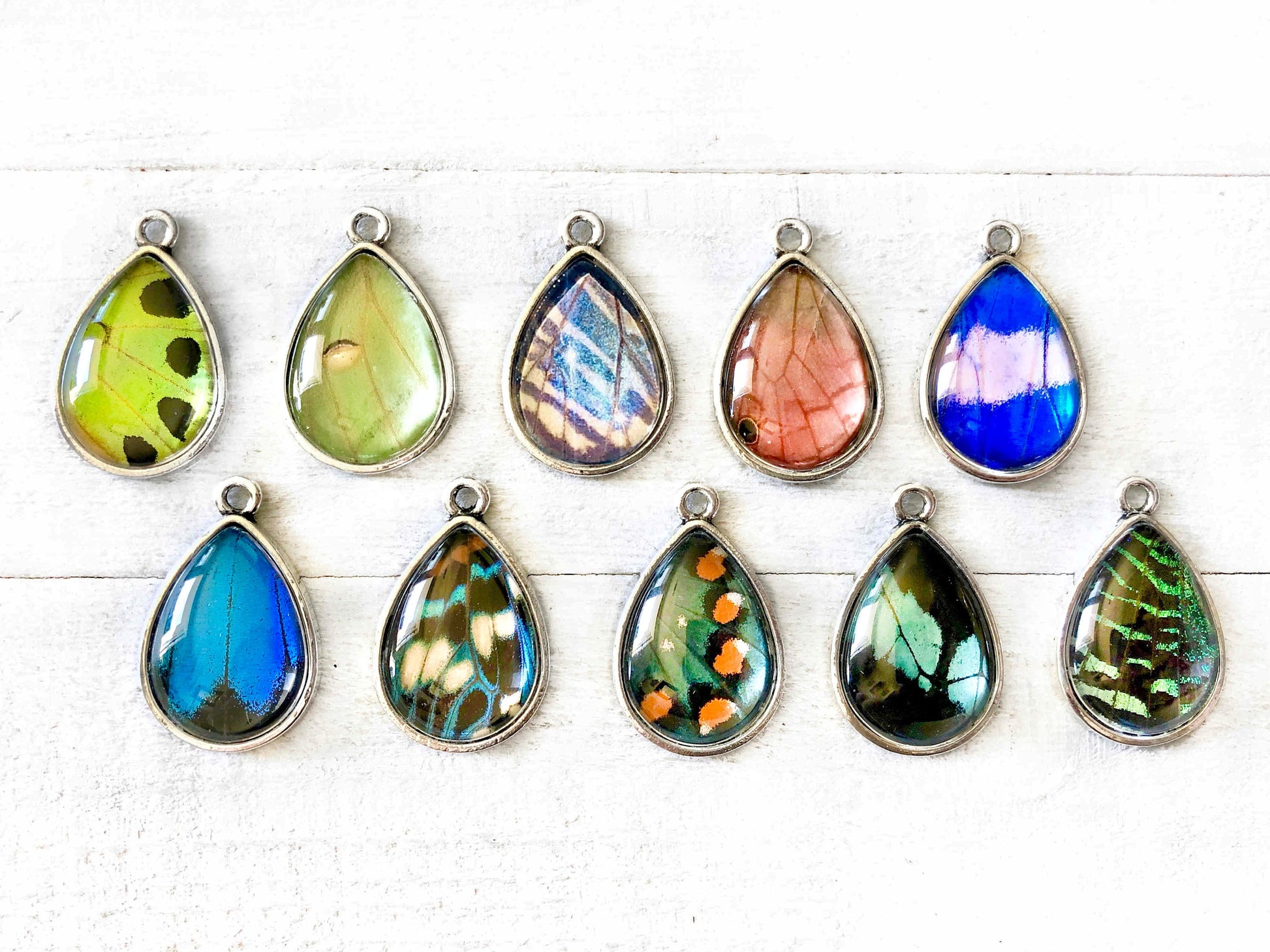 Real butterfly earrings Real butterfly wing jewelry Taxidermy insect earrings Butterfly wing earrings for women Taxidermy moth earrings