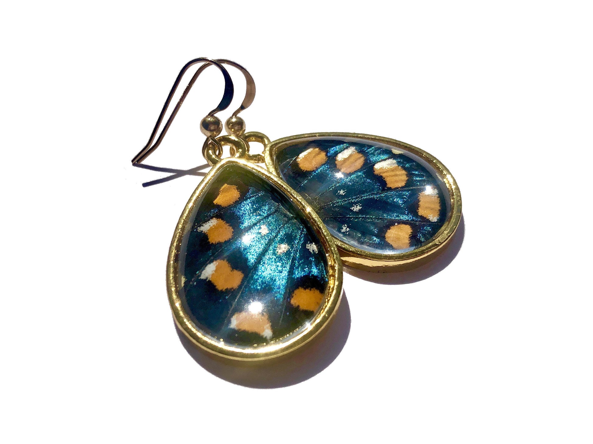 Real butterfly earrings for women Real butterfly wing earrings Blue butterfly earrings dangle Real butterfly jewelry Real insect earrings