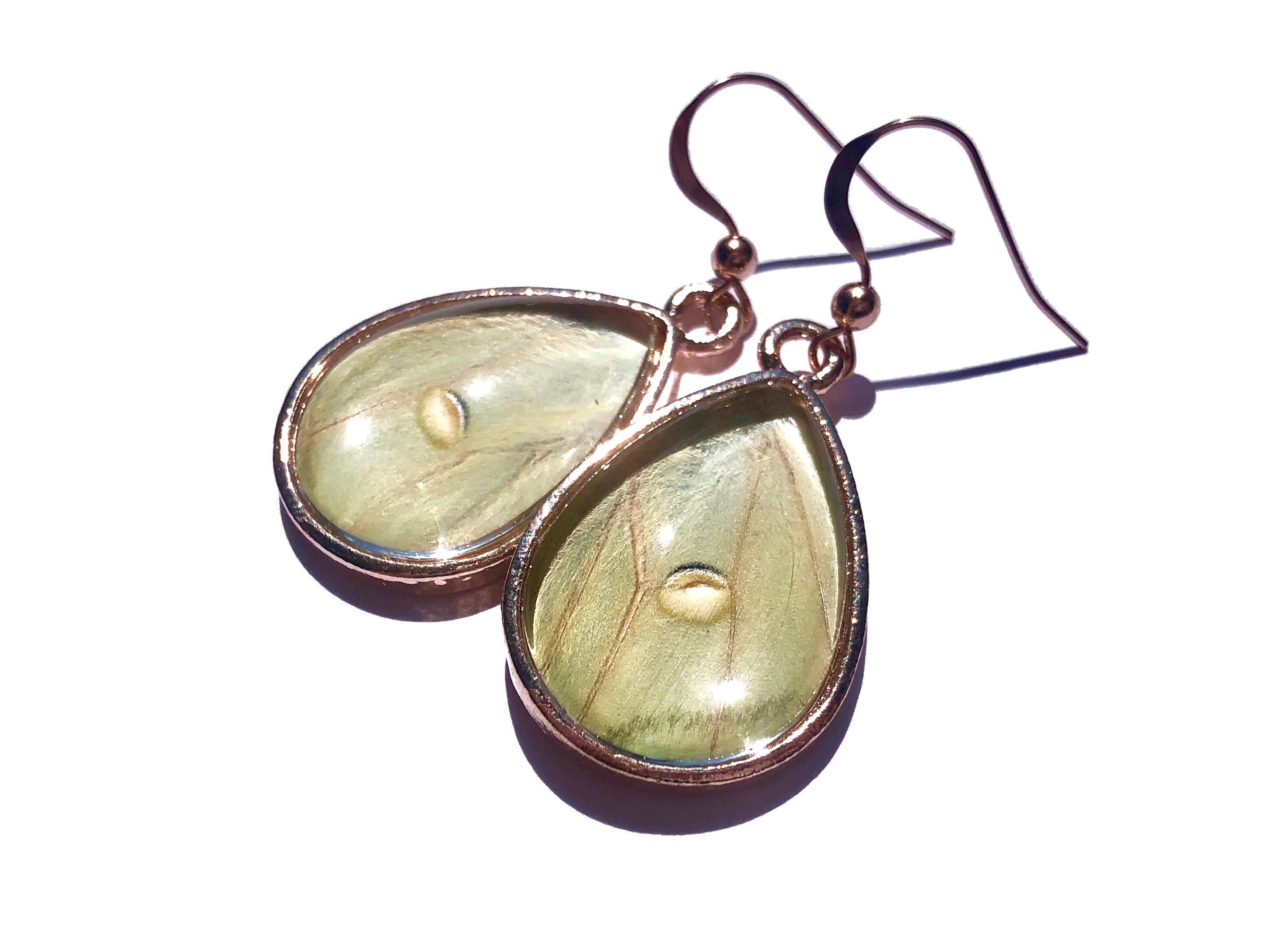 Real luna moth earrings Taxidermy luna moth jewelry Real butterfly wing earrings Taxidermy bug earrings Real moth wing earrings