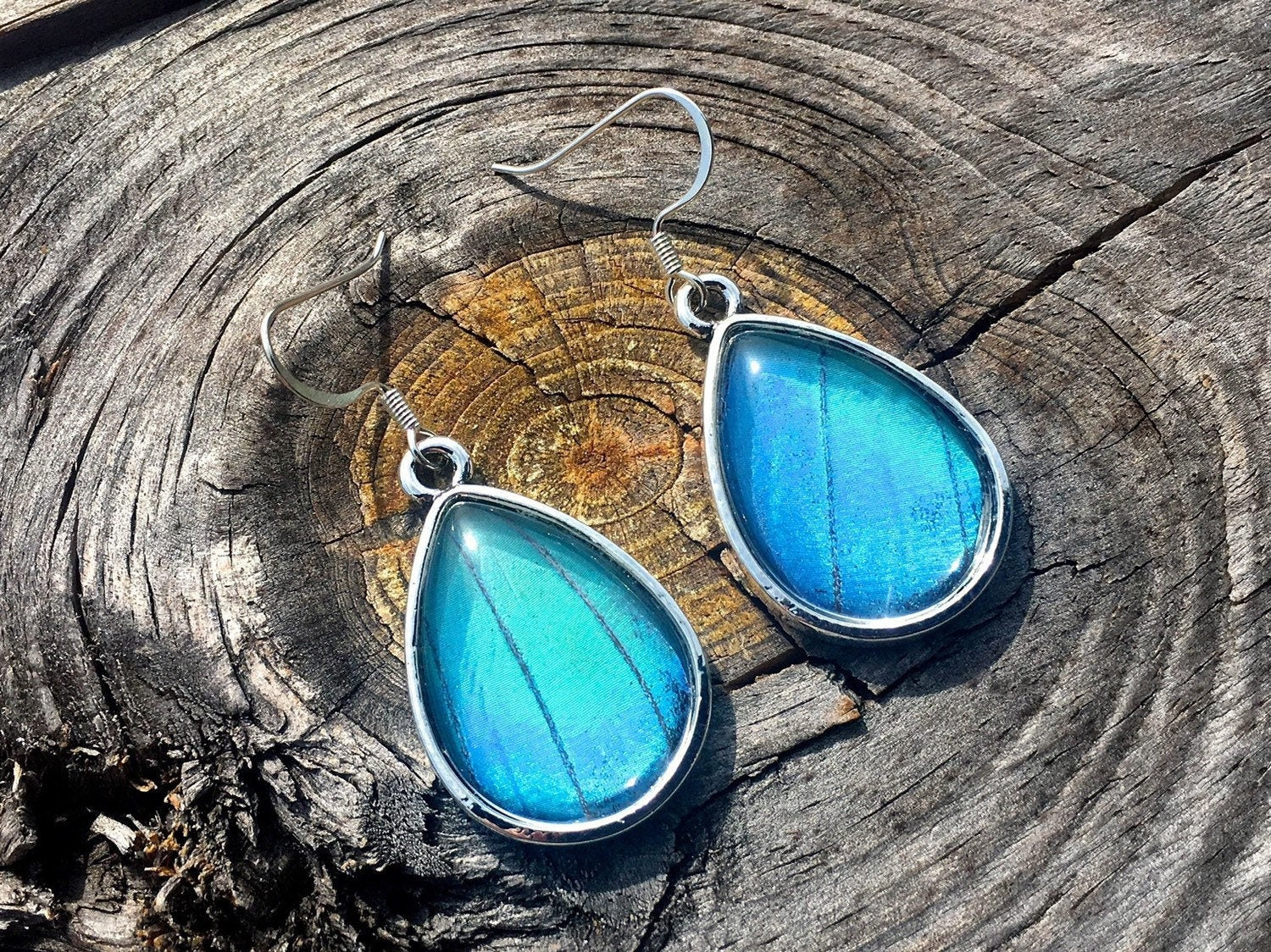Real butterfly wing earrings Dangle butterfly earrings sterling silver option Blue morpho butterfly earrings hypoallergenic sensitive ears