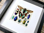 Framed butterfly wall art Real insect taxidermy art Framed butterflies Oddities and curiosities Taxidermy wall art Framed cicada taxidermy