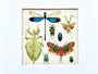 Real insect taxidermy art Dragonfly taxidermy Oddities and curiosities Praying Mantis Taxidermy wall art Bug collection Framed wall art