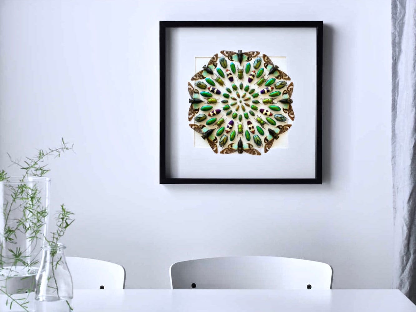 Real insect taxidermy art Large framed wall art Mixed media art Oddities and curiosities Original artwork Beetle taxidermy bugs Shadowbox