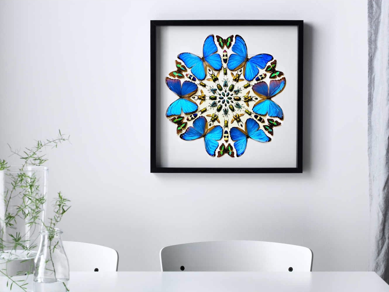 Real framed butterfly wall art Real butterfly framed taxidermy butterfly shadow box Large butterfly wall decor Real insect collage