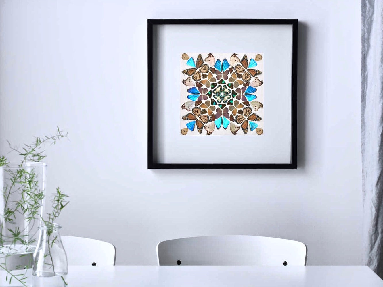 Real butterfly taxidermy Framed butterfly wall art Oddities and curiosities Insect taxidermy Mixed media Large framed wall art