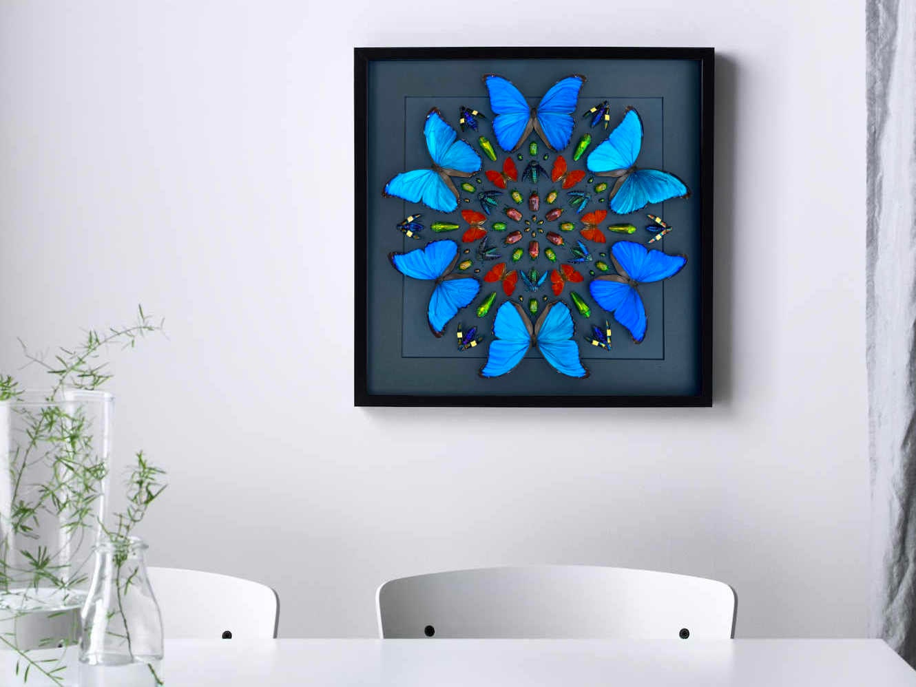 Real framed butterfly display Real butterfly wall art Taxidermy butterfly framed insect wall art Large shadowbox Mounted butterfly artwork