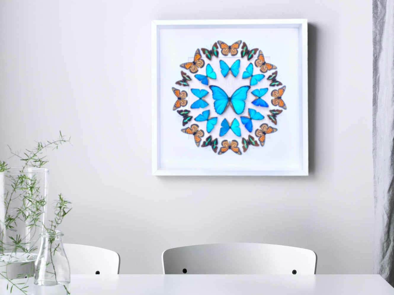 Real butterfly framed butterfly collection Butterfly taxidermy art Framed butterfly specimens Butterfly shadow box Framed butterfly art