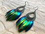 Real beetle wing earrings Real beetle earrings for women Beetle wing jewelry Taxidermy earrings Unique hoop earrings Green elytra earrings