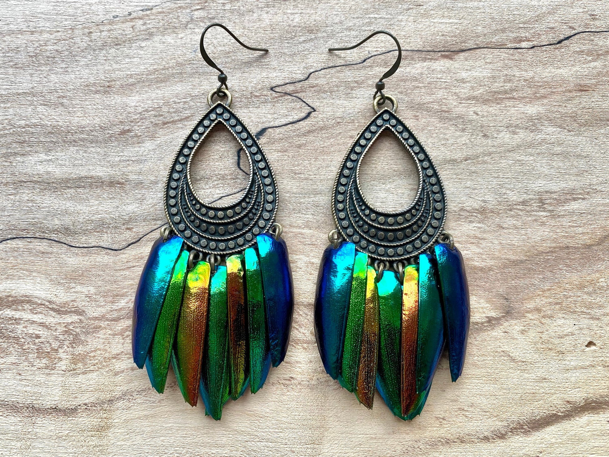 Real beetle wing earrings Real beetle earrings for women Beetle wing jewelry Taxidermy earrings Unique hoop earrings Green elytra earrings