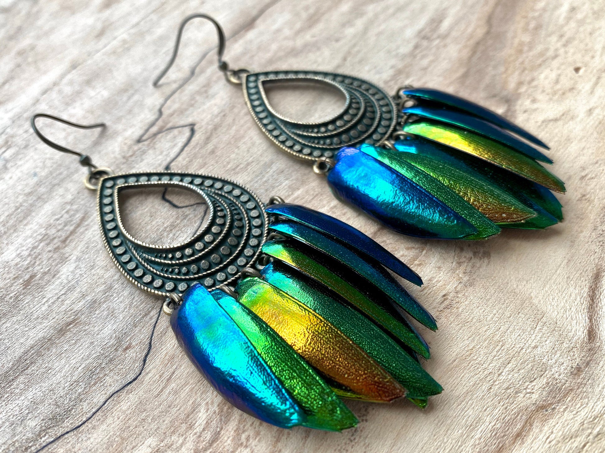 Real beetle wing earrings Real beetle earrings for women Beetle wing jewelry Taxidermy earrings Unique hoop earrings Green elytra earrings