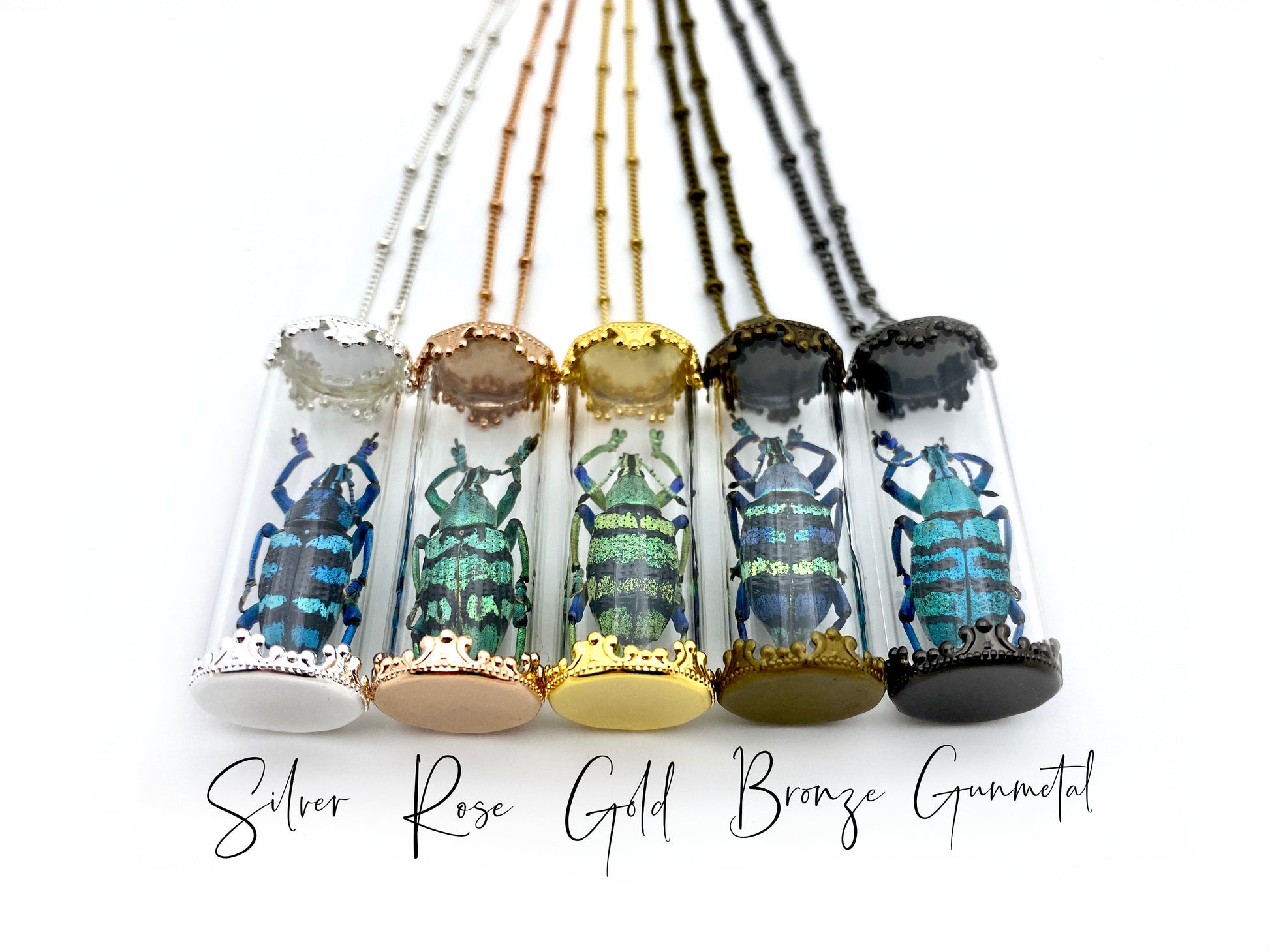 Real bug necklace Witchy jewelry Insect necklace Science jewelry Glass vial necklace Specimen necklace Ethically sourced beetle necklace