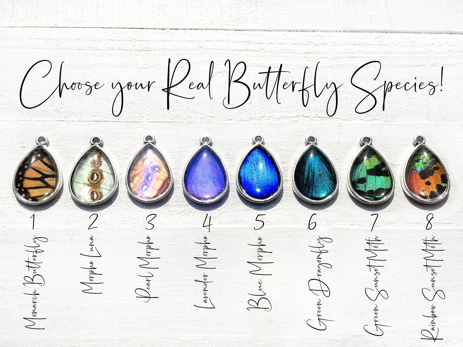 Real butterfly wing necklace Friendship necklace Memorial gift Ethical real butterfly necklace Pressed flower necklace Best friend necklace