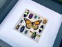 Framed insect taxidermy Real bug art Framed butterflies Real butterfly shadow box Framed butterfly art Bug wall art Framed monarch butterfly
