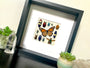 Framed insect taxidermy Real bug art Framed butterflies Real butterfly shadow box Framed butterfly art Bug wall art Framed monarch butterfly