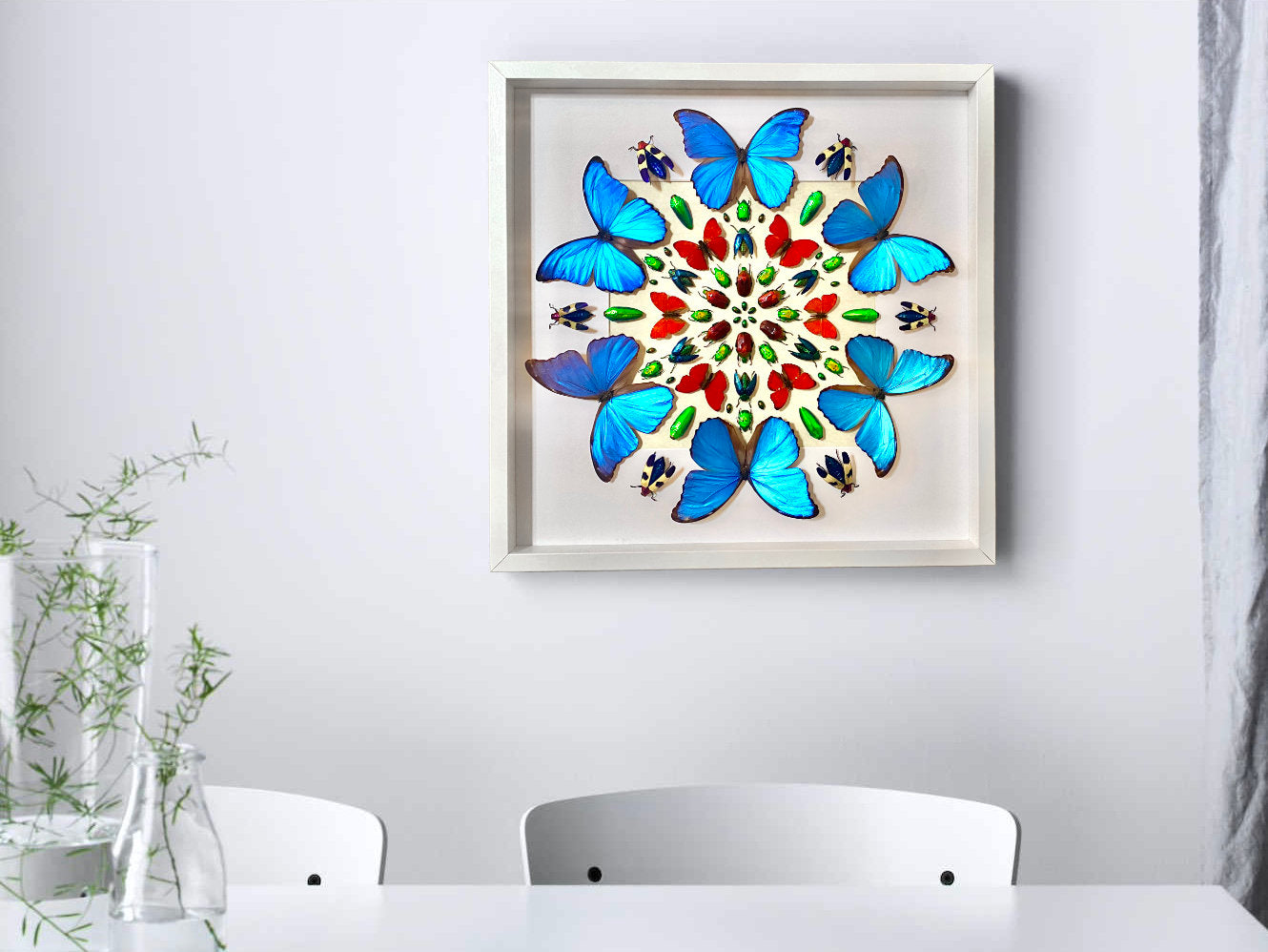 Framed butterfly taxidermy Real butterfly collection Vulture culture 3D wall art Taxidermy butterfly shadow box Framed insect taxidermy