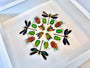 Real insect art Framed insect taxidermy bugs Framed beetle art Insect artwork Insect shadow box Insect collection Bug collection Dragonflies