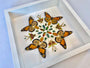 Real monarch butterfly Framed monarch butterfly gifts Preying mantis Taxidermy butterfly art Butterfly shadow box Insect taxidermy art