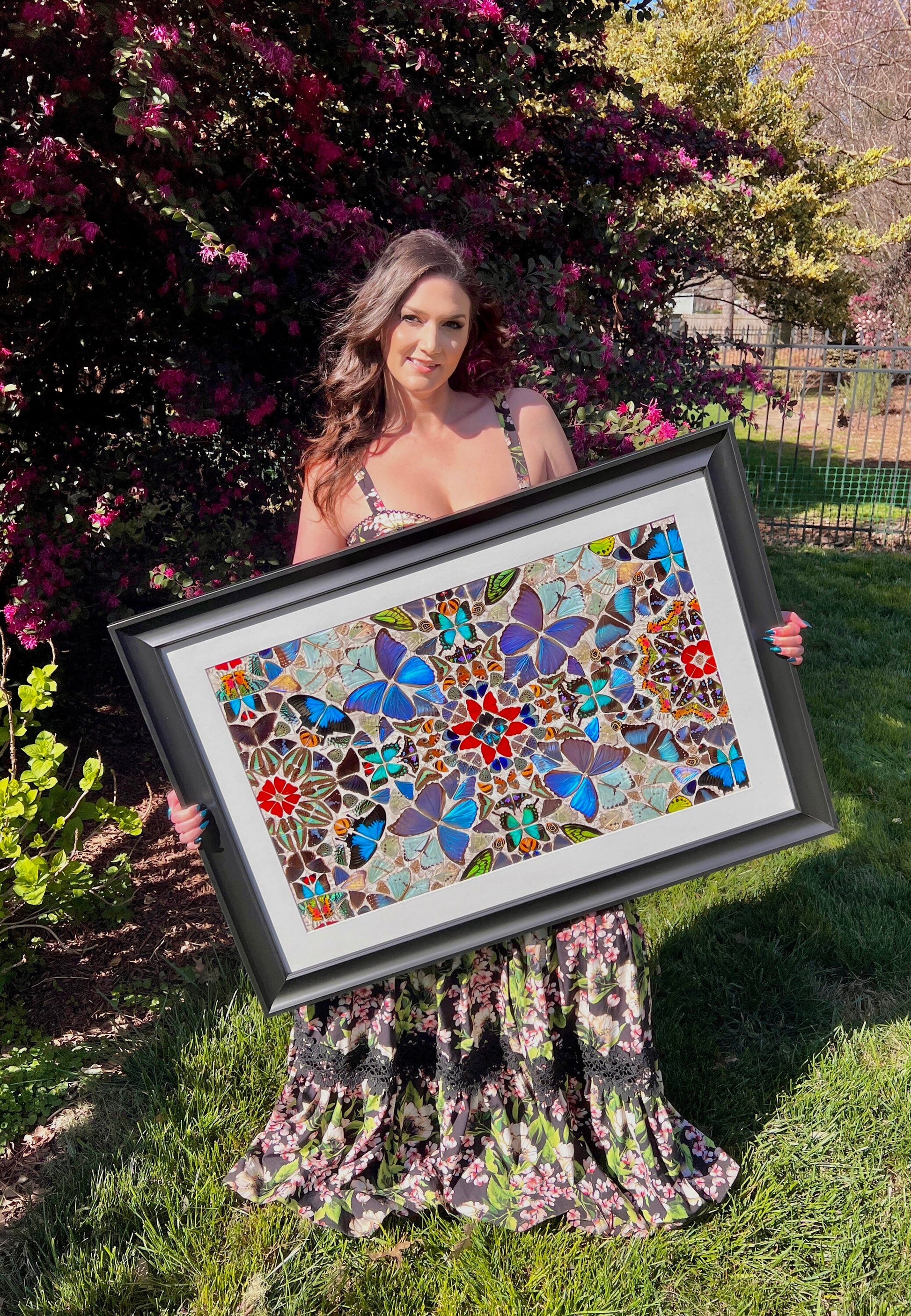 Real butterfly taxidermy art Framed butterfly wall art Oddities and curiosities Large framed wall art Mixed media Real butterfly wing art