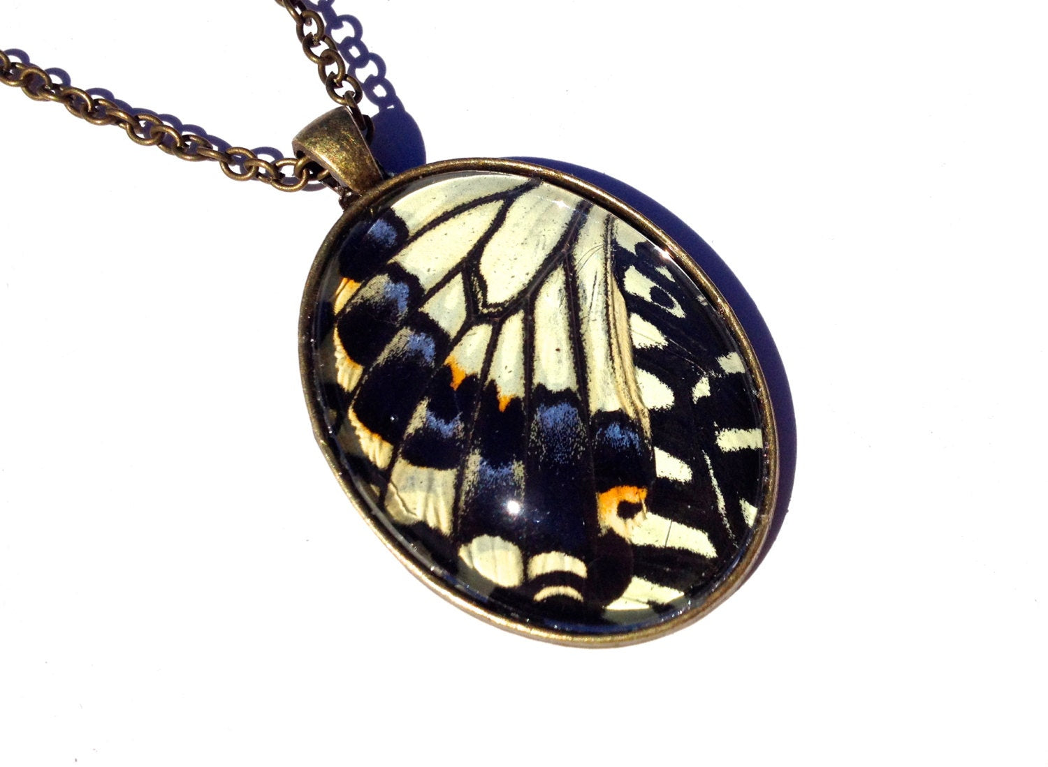 Real butterfly wing necklace Insect taxidermy jewelry Swallowtail butterfly necklace Pressed flower necklace Yellow butterfly pendant