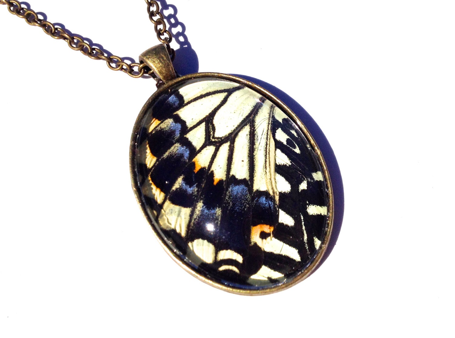 Real butterfly wing necklace Insect taxidermy jewelry Swallowtail butterfly necklace necklace Yellow butterfly pendant