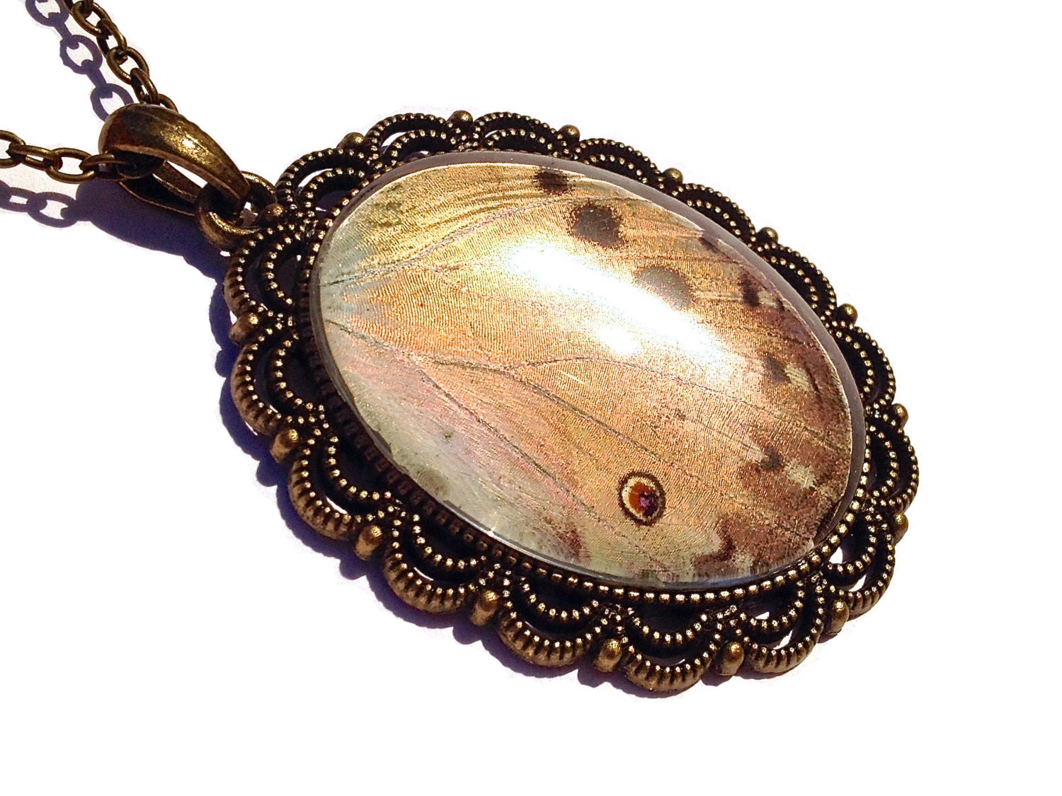 Real Butterfly Wing pendant necklace butterfly necklace Butterfly gifts for women Taxidermy butterfly framed jewelry