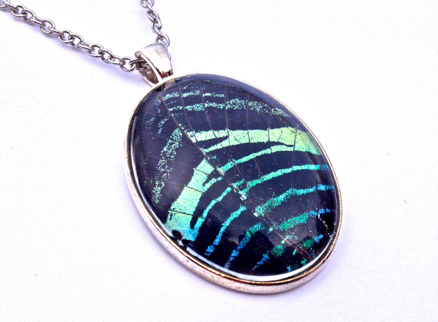 Real Moth Taxidermy Necklace Nature Pendant Bug Necklace Ethical Taxidermy Moth Real Butterfly resin Biology gifts Meaningful necklace