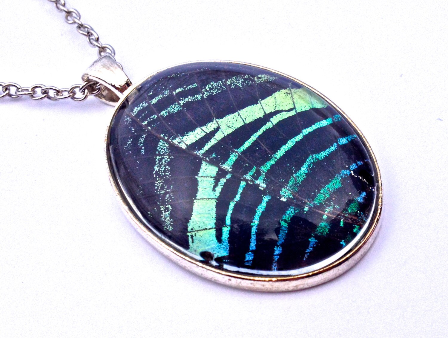 Real Moth Taxidermy Necklace Nature Pendant Bug Necklace Ethical Taxidermy Moth Real Butterfly resin Biology gifts Meaningful necklace